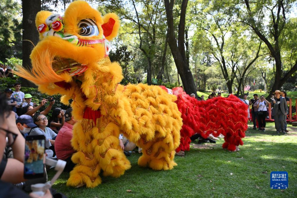 永利登录真人